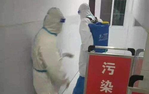 逆行守護(hù)綠意 筑起防疫堡壘——市園林綠化中心下沉干部抗疫防控工作紀(jì)實(shí)